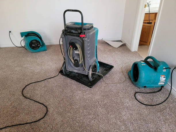 Best Flood restoration services  in Rockport, IN