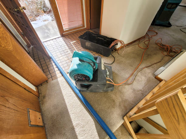 Best Water damage restoration services  in Rockport, IN