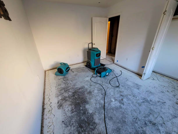 Best 24-hour water damage restoration  in Rockport, IN