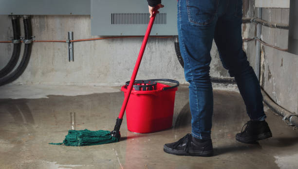 Best Basement water damage restoration  in Rockport, IN