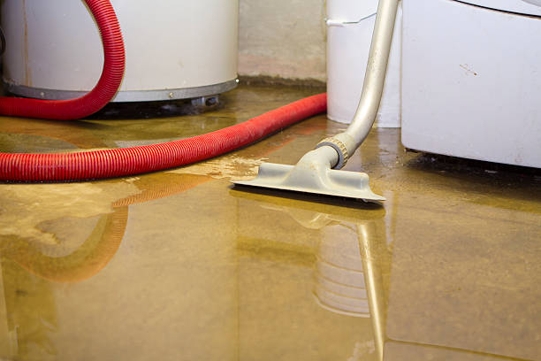 Best Emergency water damage restoration  in Rockport, IN