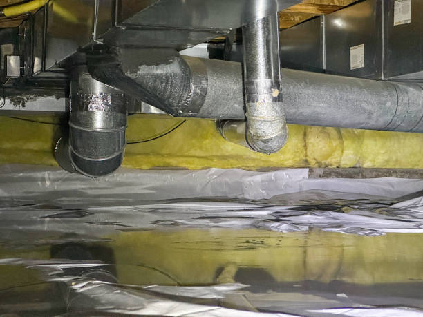 Best Mold removal after water damage  in Rockport, IN