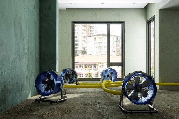 Best Sewage cleanup and water damage restoration  in Rockport, IN